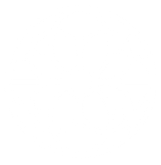 Soul Bridges 